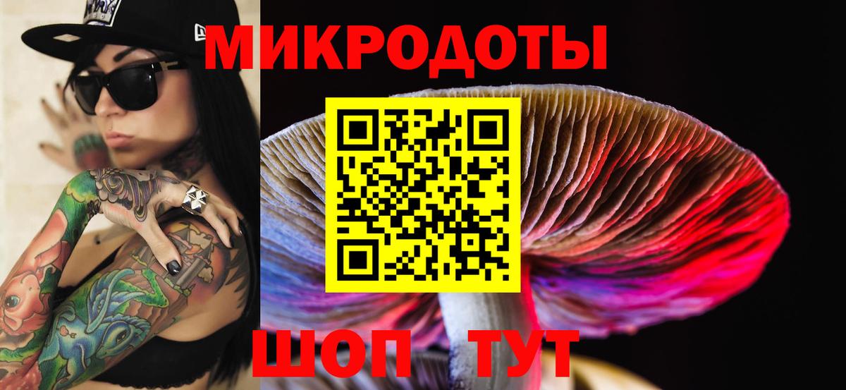 Псилоцибиновые грибы Cubensis Дербент